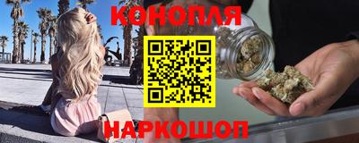 mdpv Краснознаменск